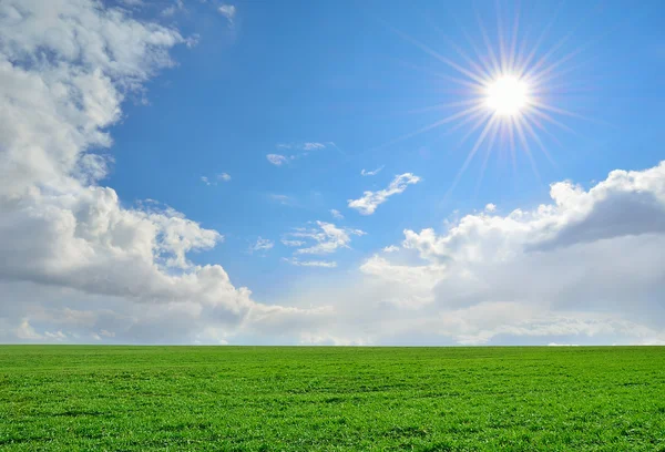 Groen veld, zon en bewolkte hemel — Stockfoto