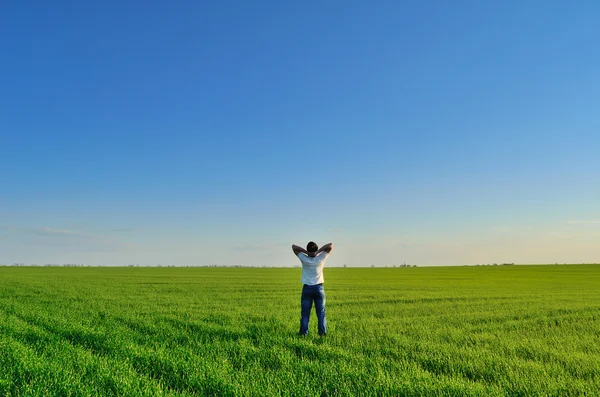 Jonge man op een groen veld — Stockfoto