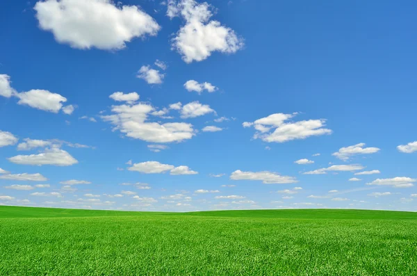 Campo verde sob um céu com nuvens Fotos De Bancos De Imagens