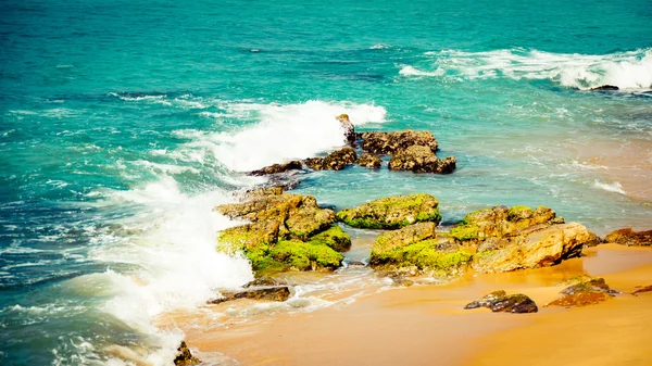 Tropiska kusten av Indiskt hav — Stockfoto