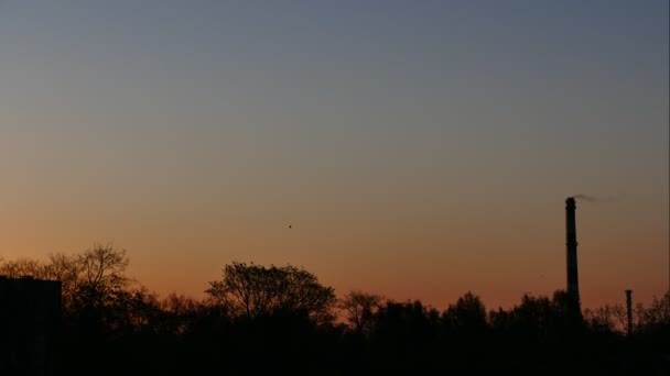 Sunrise Time Lapse Plant pipe and Sky — Stock Video