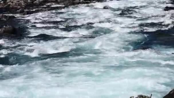 Водопад у горной реки летом — стоковое видео