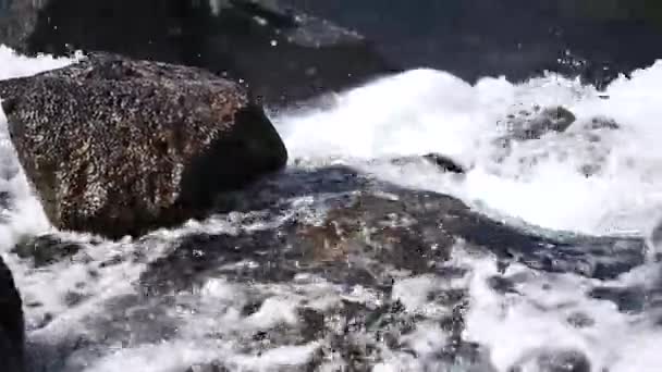 Cascada en el río de montaña en verano — Vídeos de Stock