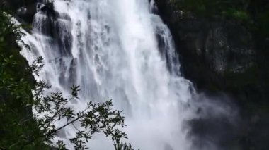 Yaz aylarında nehir dağ, şelale