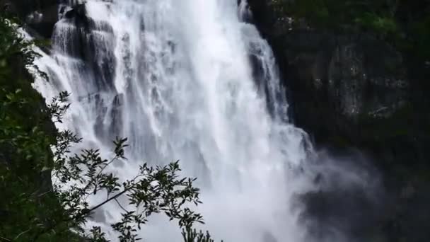 Cascata sul fiume di montagna in estate — Video Stock