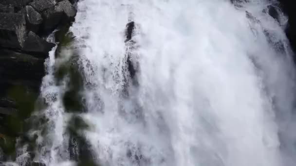 Cascade à la rivière de montagne en été en Norvège — Video