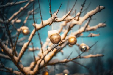 Noel altın topu ve ağaç dalı. Noel süslemeleri.