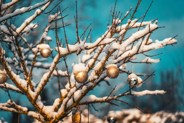 Julen gyllene boll och träd gren med snö. Juldekorationer. — Stockfoto