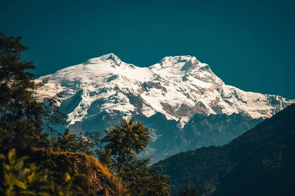 Árvores e picos cobertos de neve no fundo nas montanhas do Himalaia, Nepal — Fotografia de Stock