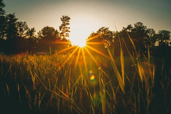 Cielo atardecer en la hora de verano Letonia — Foto de Stock