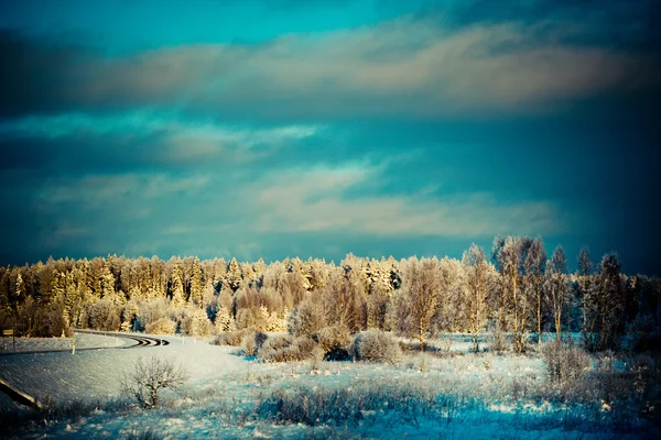 Зимний пейзаж на рассвете — стоковое фото