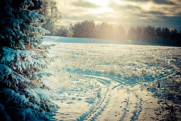 Winter landscape at dawn — Stock Photo, Image