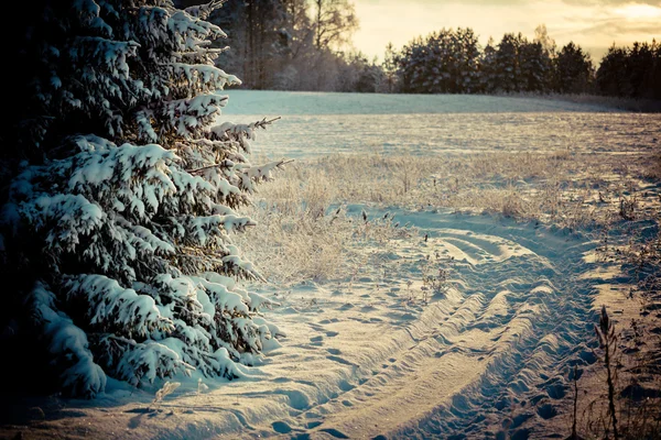 Winter landscape at dawn