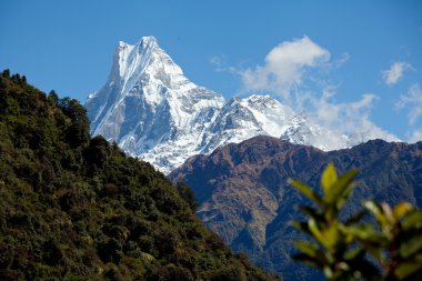Mount Machapuchare veya balık kuyruğu Nepal gündoğumu