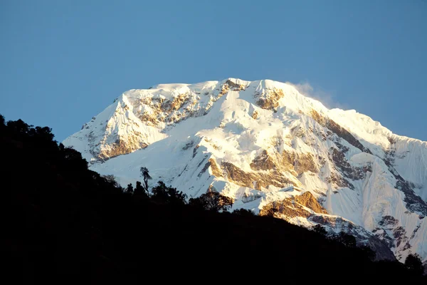 Dağ tepe gündoğumu Himalayalar, Annapurna Güney içinde