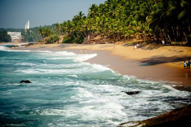 Kayalık uçurum ve palmiye ağaçları ile dalga okyanus