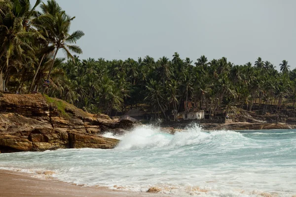 Ocean Wave s skalnaté útesy a Palm čka — Stock fotografie