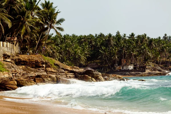 Ocean Wave med klippor och Palm Tress — Stockfoto