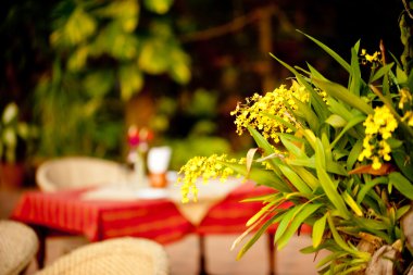 Ziyafet Tablo ayarı ile çiçek bahçe veranda Restoran