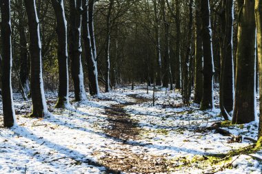 Kış aylarında UK kırsal