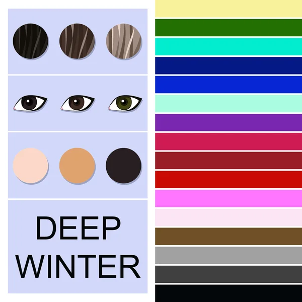 Voorraad vector seizoensgebonden analyse kleurenpalet voor diepe winter type — Stockvector