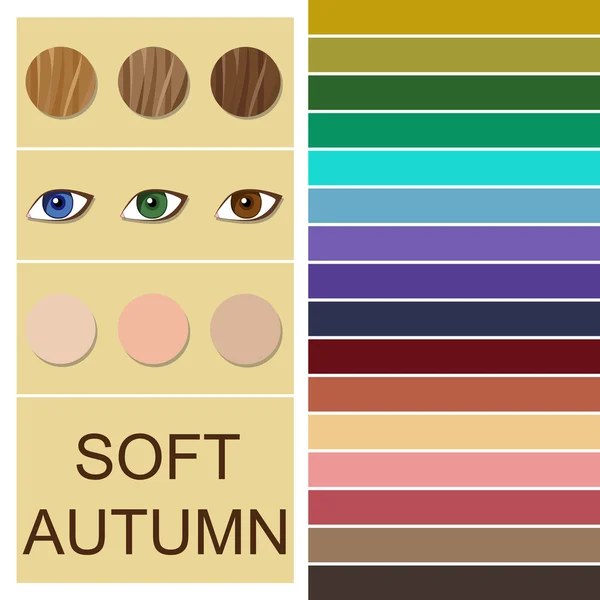 Palette d'analyse des couleurs saisonnières vectorielles de stock pour type automne doux — Image vectorielle