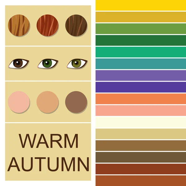 Векторная палитра для анализа сезонных цветов для теплого осеннего типа — стоковый вектор