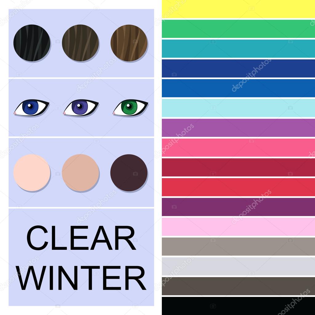 Stock vector seasonal color analysis palette for clear winter type