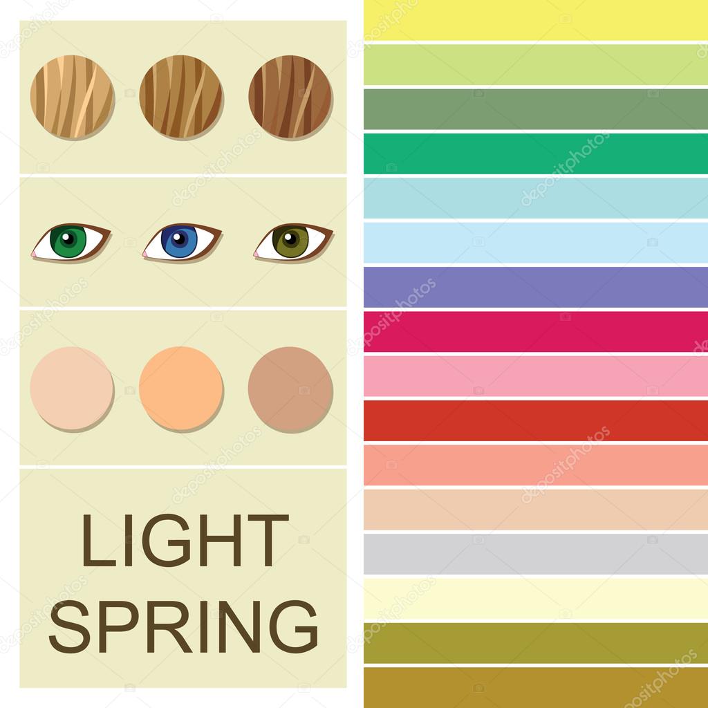 Stock vector seasonal color analysis palette for light spring type