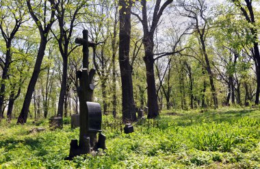 Mezarlığa eski çapraz 