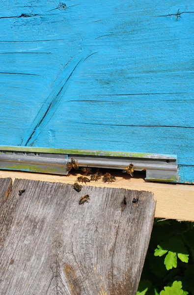 Colmena de abejas con abejas —  Fotos de Stock