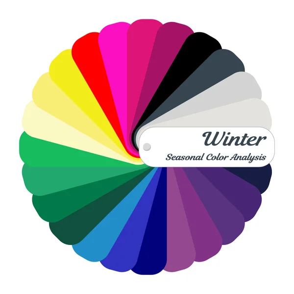 Guia de cores vetorial estoque. Paleta de análise de cor sazonal para o tipo de inverno. Tipo de aparência feminina —  Vetores de Stock