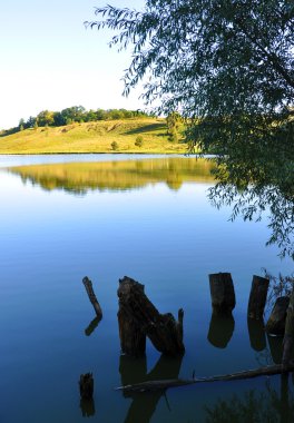 Nehirde yansıyan ağaçlar