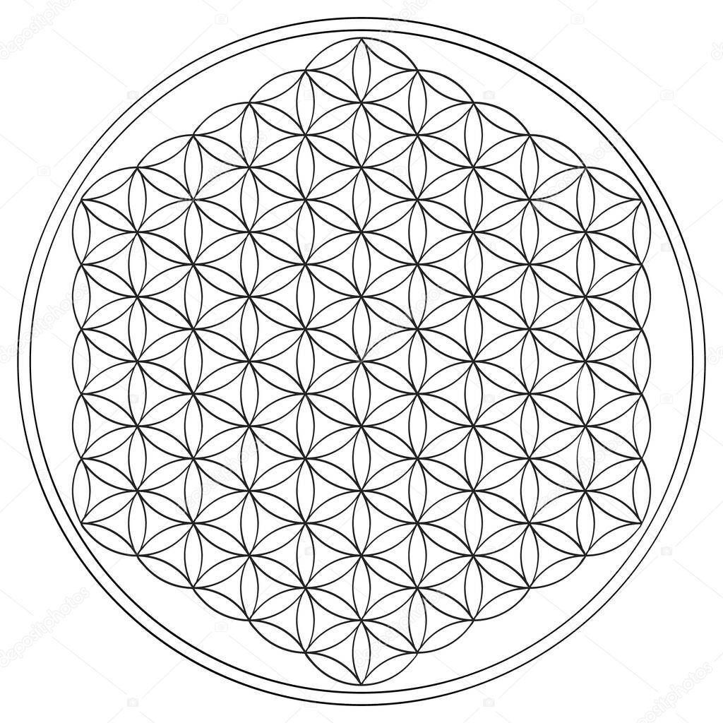 vector icon with ancient symbol flower of life for your project