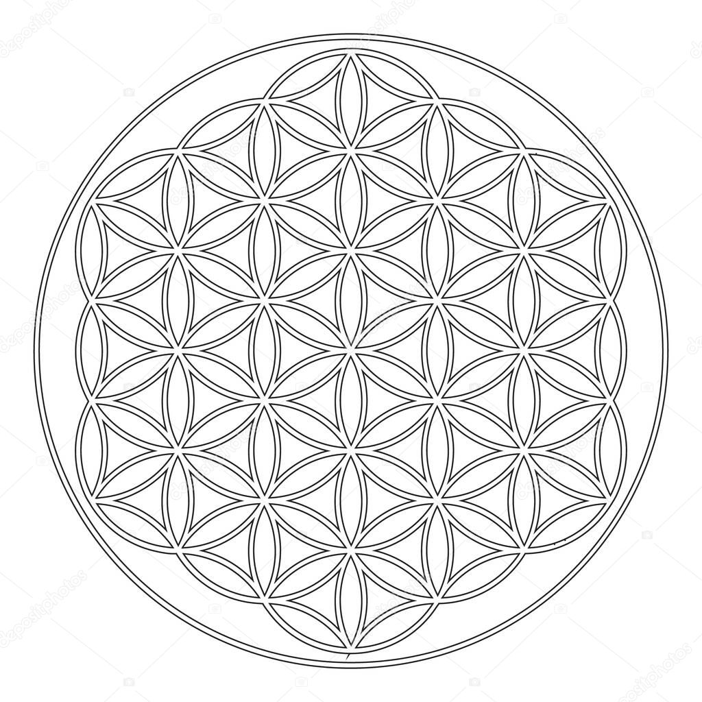 vector icon with ancient symbol flower of life for your project