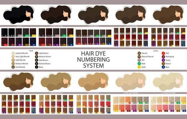 Paleta Vector Stock Con Sistema Numeración Tinte Para Cabello Niveles — Vector de stock