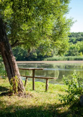 Nehrin kıyısında yeşil ağaçların altında bankları olan ahşap masa. Projeniz için kalite kalıbı