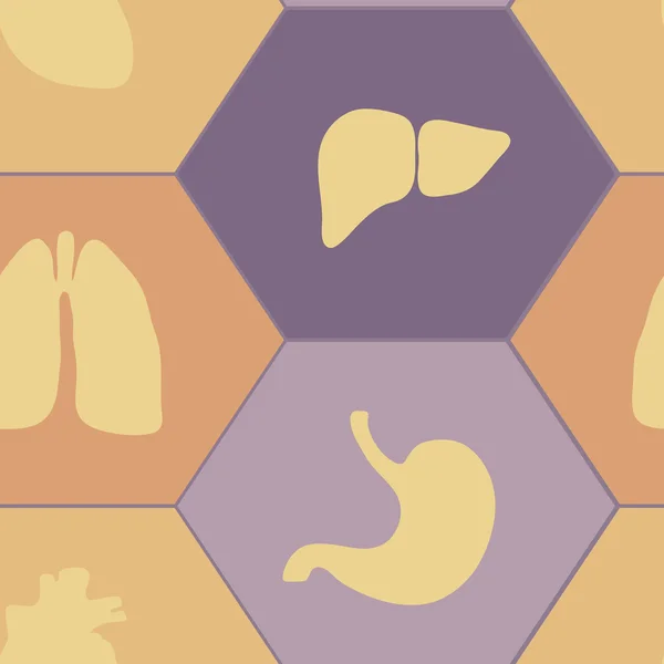 Fundo sem costura com órgãos do corpo humano —  Vetores de Stock