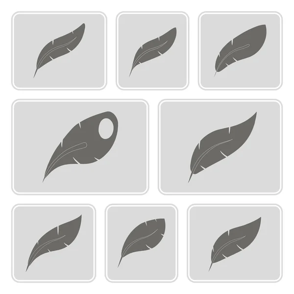 Set di icone monocromatiche con piume per il tuo design — Vettoriale Stock