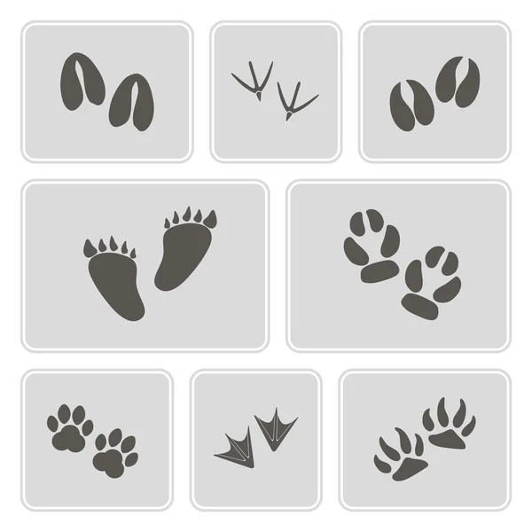 Ensemble d'icônes monochromes avec des traces d'animaux et d'oiseaux pour votre conception — Image vectorielle