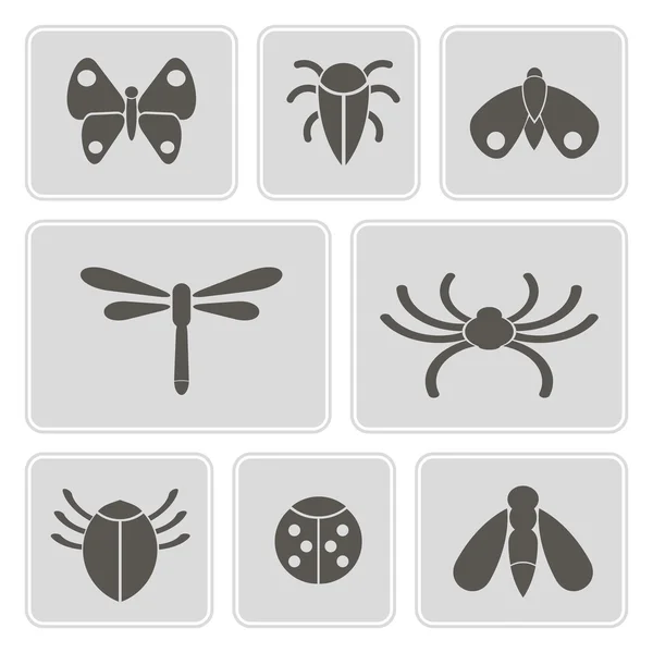 Conjunto de iconos monocromáticos con varios insectos para su diseño — Archivo Imágenes Vectoriales