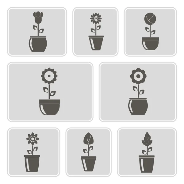 Conjunto de ícones monocromáticos com flores nos vasos para o seu design — Vetor de Stock