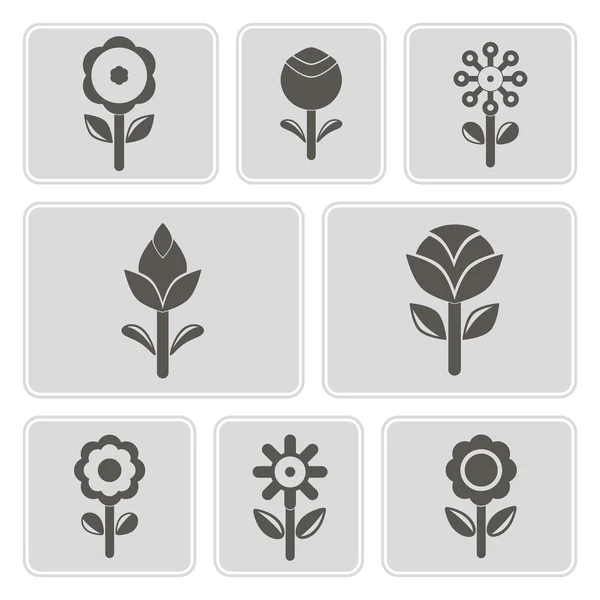 Set monochromer Symbole mit Blumen für Ihr Design — Stockvektor