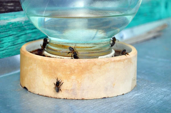 Sklenice vody se včelami na něm — Stock fotografie