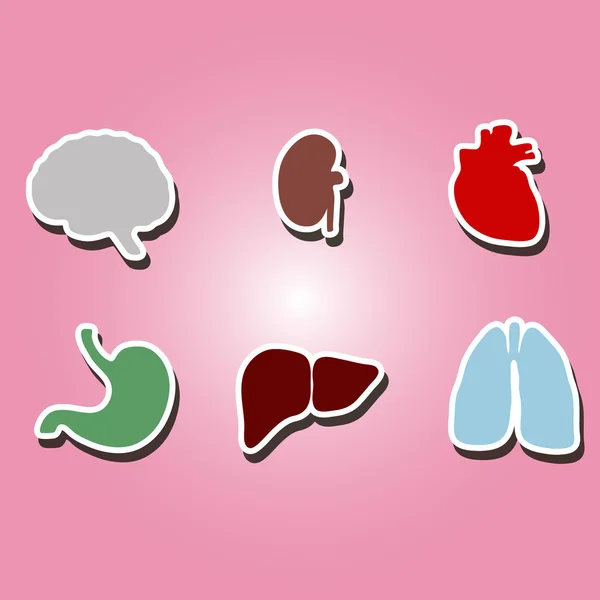 Farbsymbole mit Organen des menschlichen Körpers — Stockvektor
