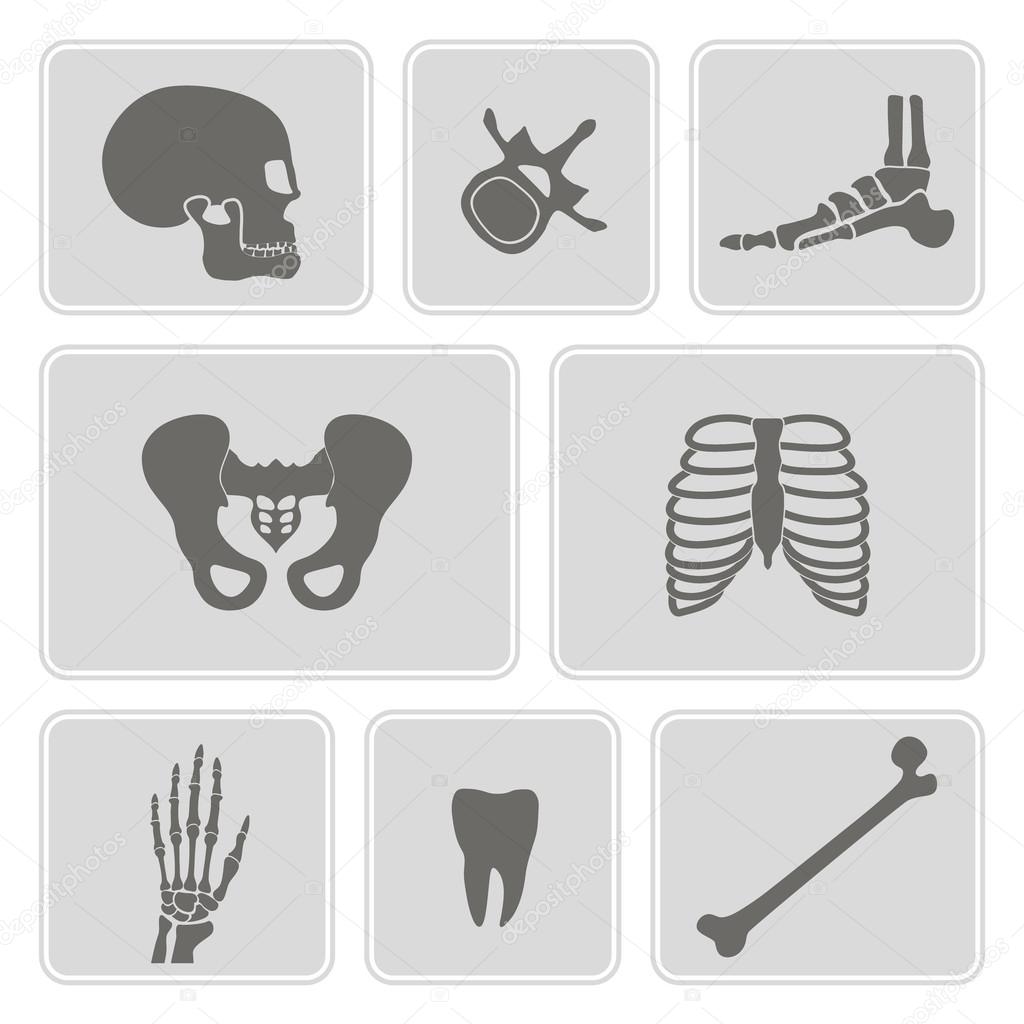 set of monochrome icons with human bones