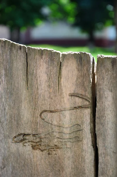 Fondo abstracto con pared de madera — Foto de Stock