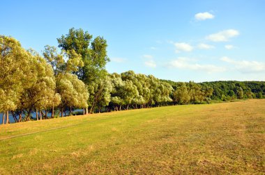 tasarımınız için nehrin ağaçları ile yamaç