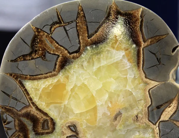 De snit van septarian — Stockfoto