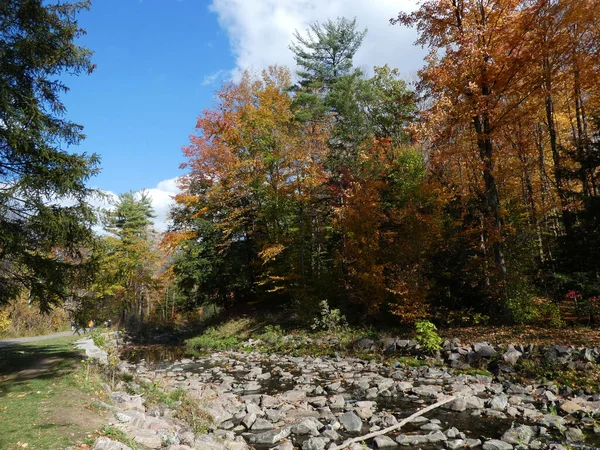 カラフルな木々や川と秋の風景 — ストック写真